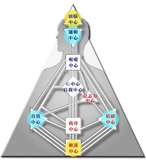 人類圖解說|人類圖免費分析》9大能量中心、通道閘門代表什麼意。